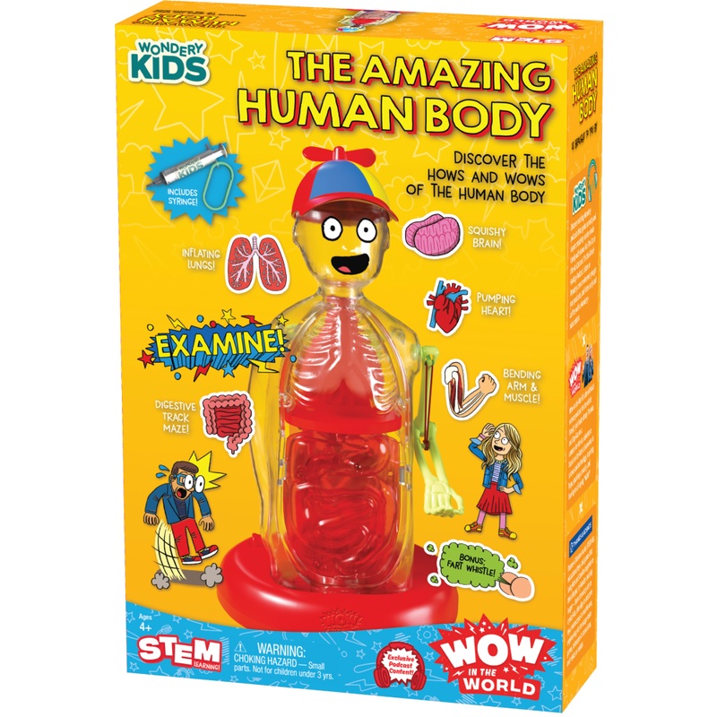 Wow in the World: The Amazing Human Body