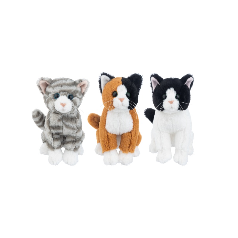 Whiskers Cats