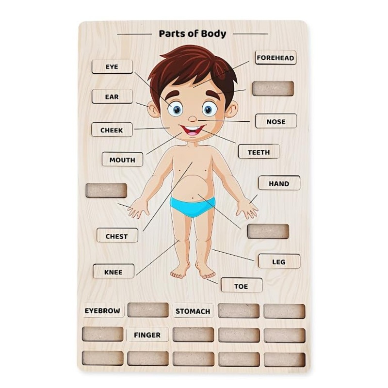 Webby Wooden Body Parts Learning Puzzle