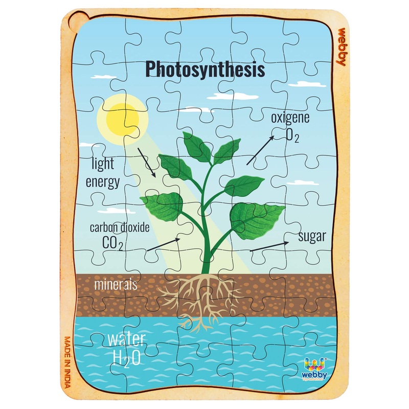 Webby Photosynthesis Wooden Floor Puzzle, 40 Pcs