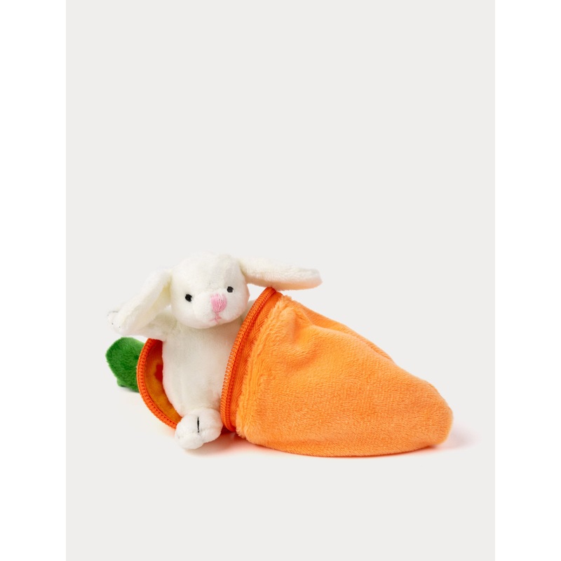 Bunny in Carrot