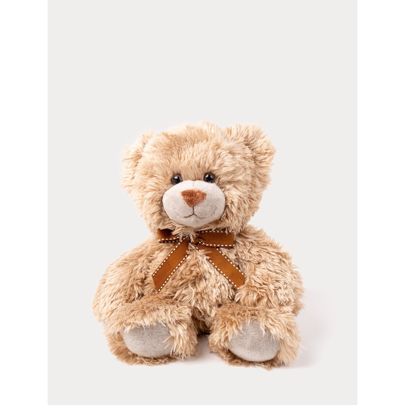 Roger, Teddy Bear, Small