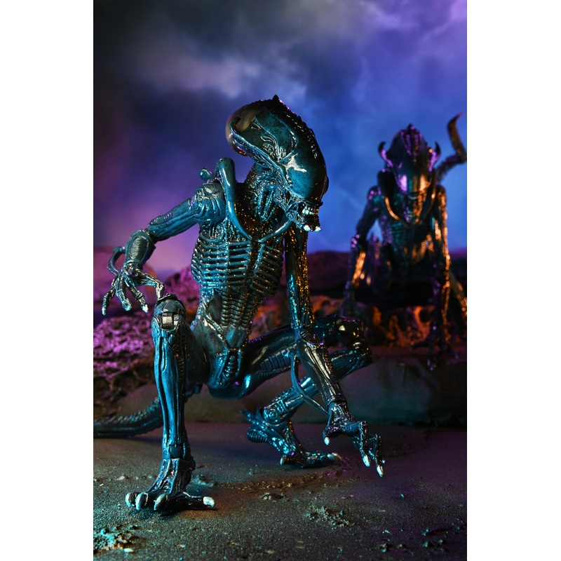 Alien vs Predator - Arachnoid Alien 7" Scale Action Figure (Movie Deco)
