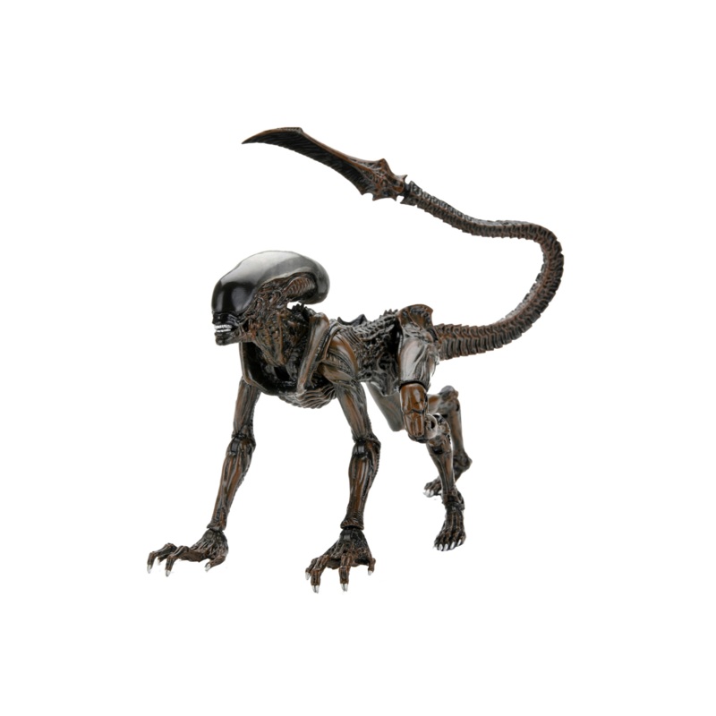Aliens Fireteam Elite - Runner Alien 7" Scale Action Figure