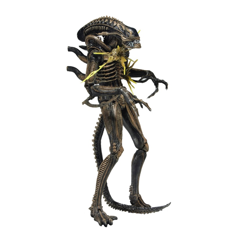 Aliens - Series 12 - Battle Damaged Aliens Warrior 7" Scale Action Figure (BROWN)