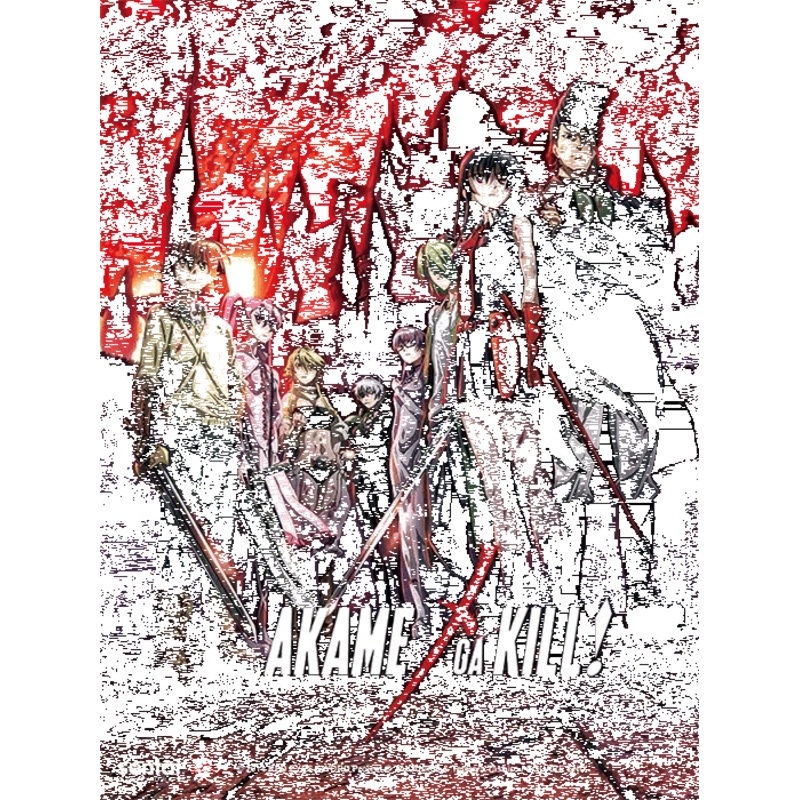 YA3D0007 Akame Ga Kill 3D Lenticular Wall Art Poster Framed