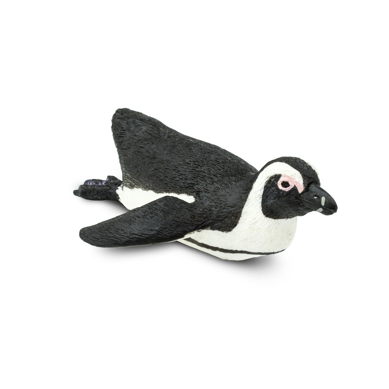 South African Penguin Toy