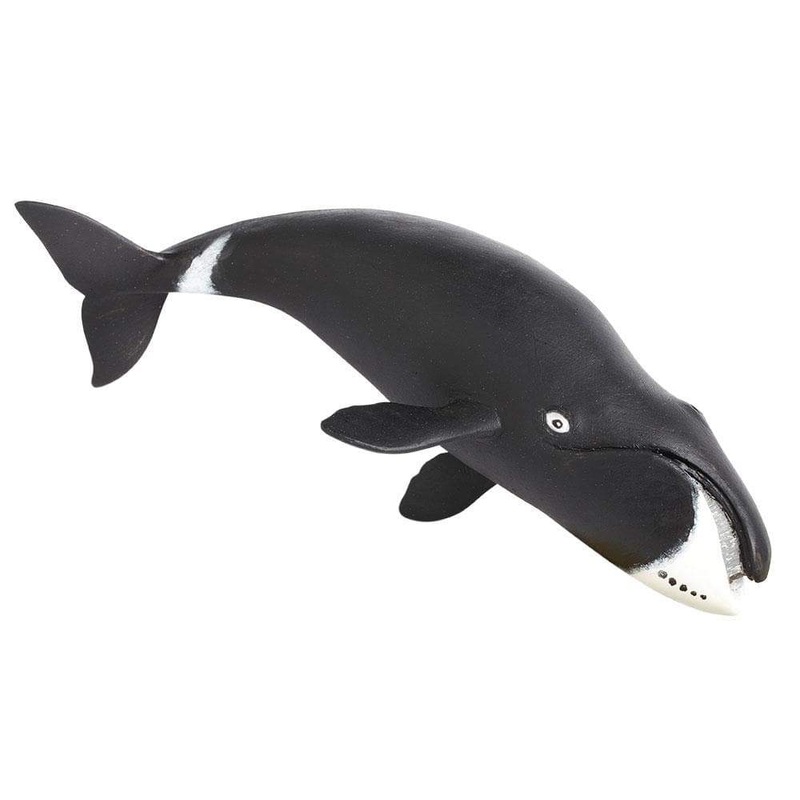 Bowhead Whale Toy