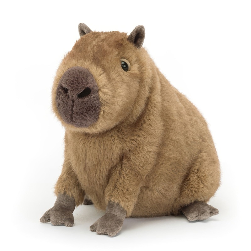 Capybara Plush Toy