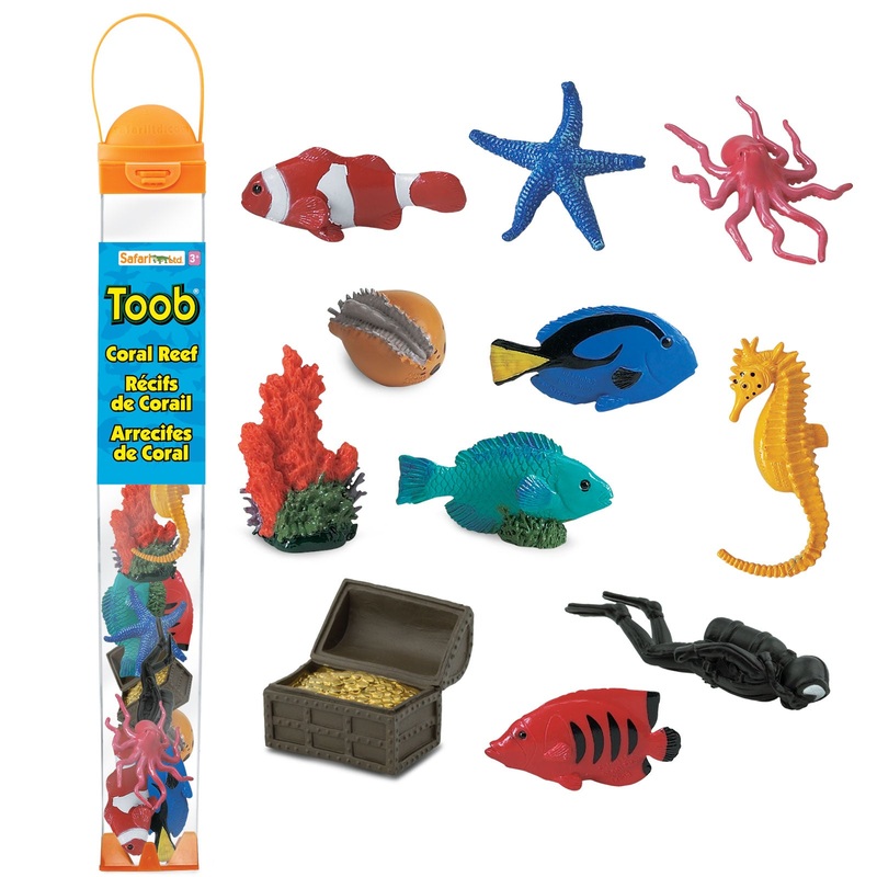 Coral Reef  TOOB