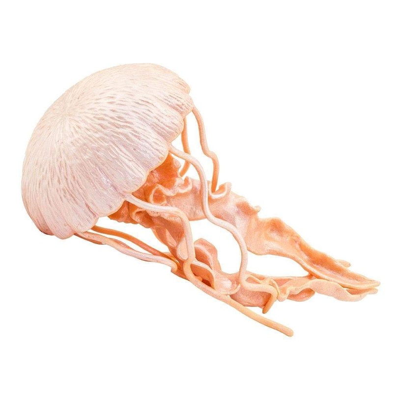 Jellyfish Toy