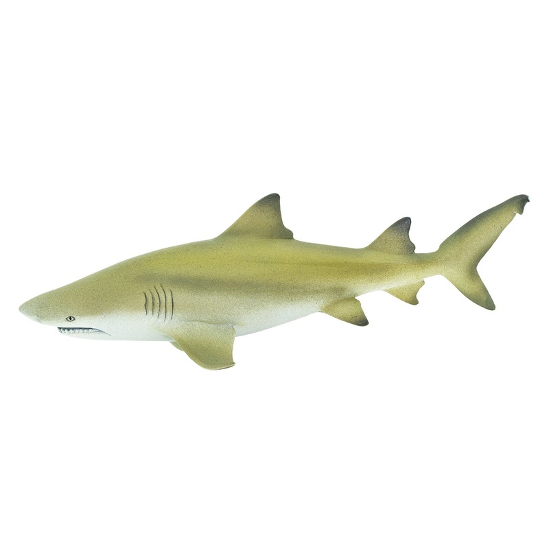 Lemon Shark Toy