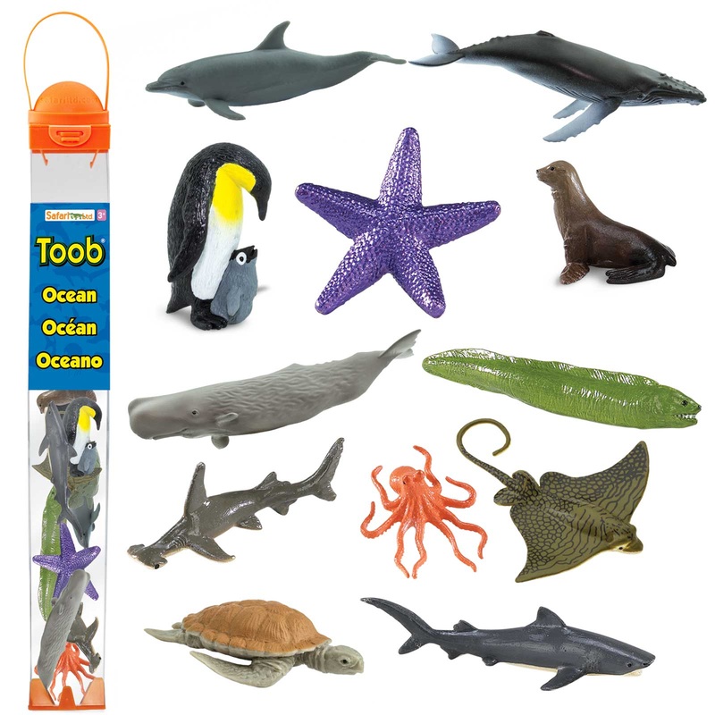 Ocean TOOB
