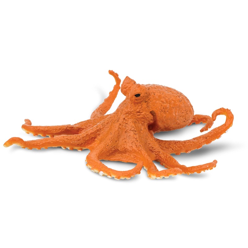 Octopus Toy