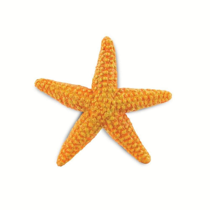 Orange Starfish Toy