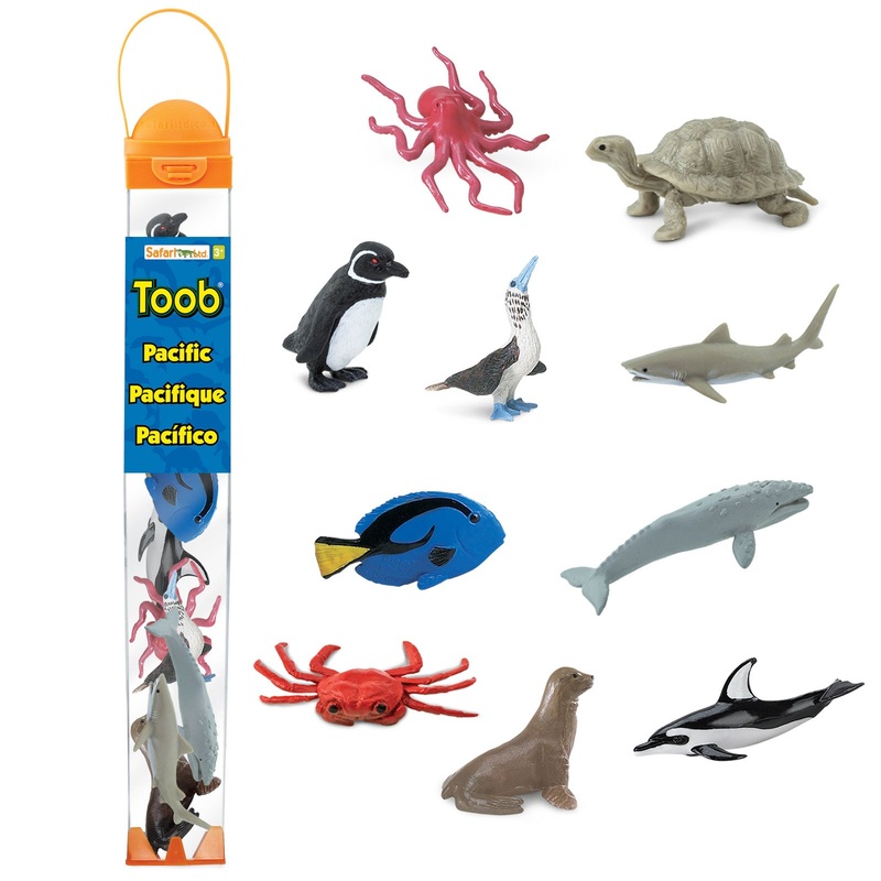 Pacific TOOB