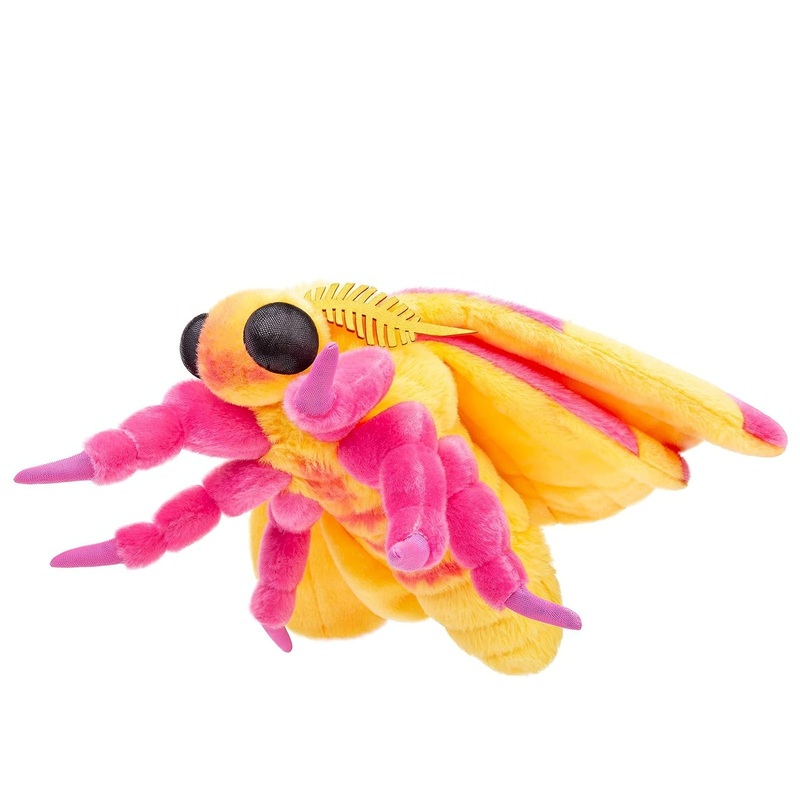 Rosy Maple Moth