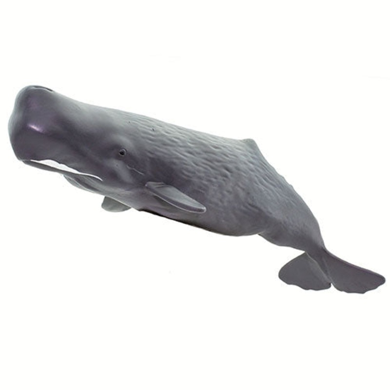 Safari Ltd Sea Life Sperm Whale