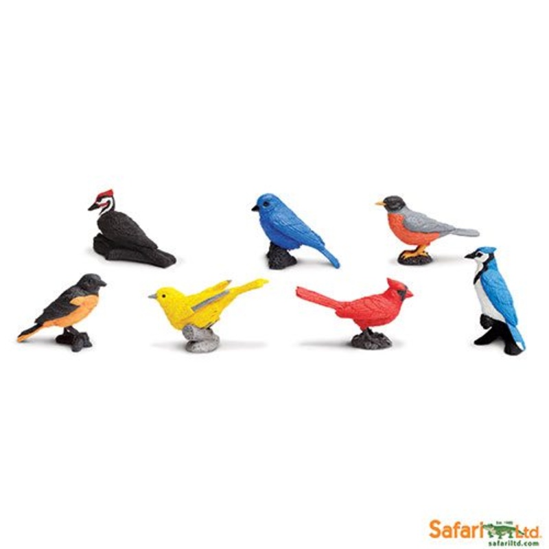 Safari Ltd Toob Backyard Birds