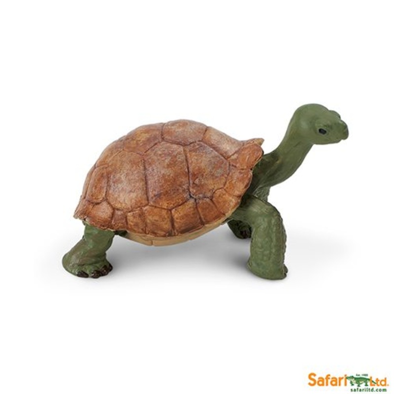 Safari Ltd Wildlife Giant Tortoise