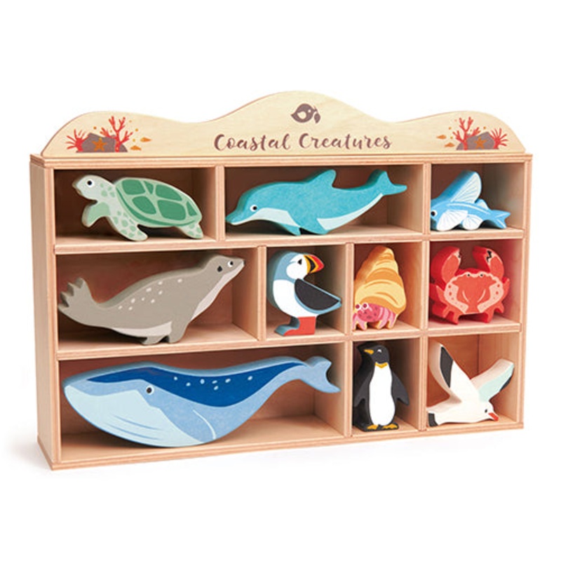 Tender Leaf Wooden Display And Coastal Creatures