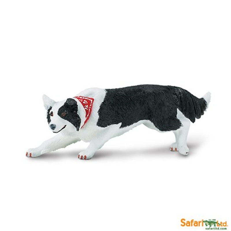 Safari Ltd Best in Show Dogs Border Collie