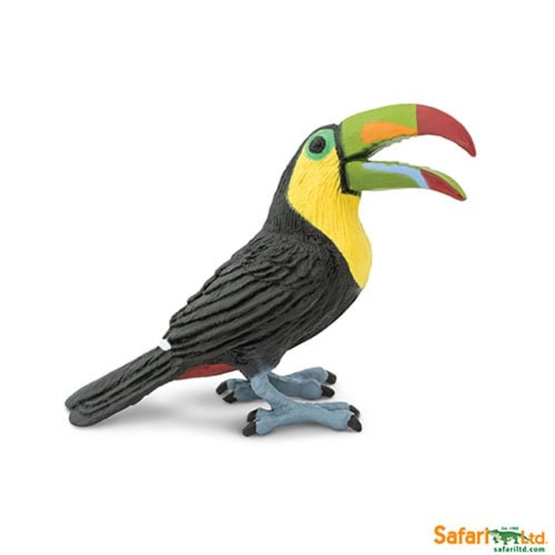 Safari Ltd Birds Toucan