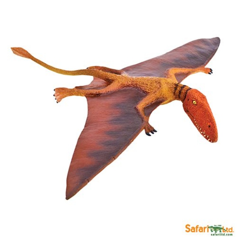 Safari Ltd Dinosaur Dimorphodon