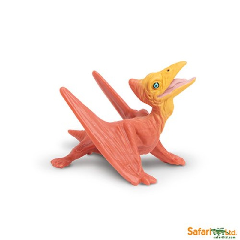 Safari Ltd Dinosaur Pteranodon Baby