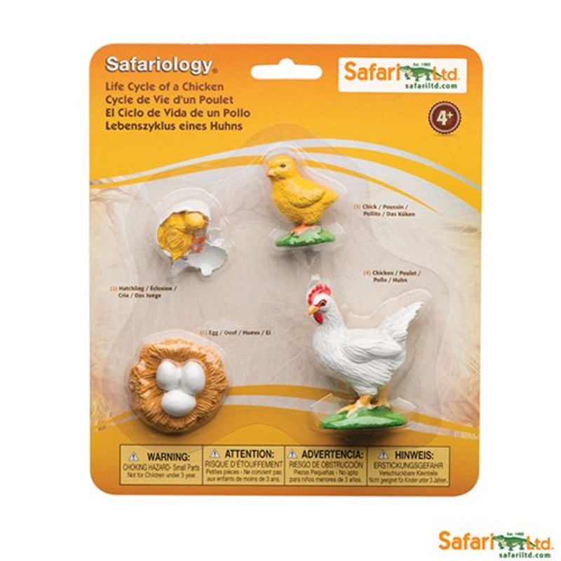 Safari Ltd Safariology Life Cycle Of A Chicken
