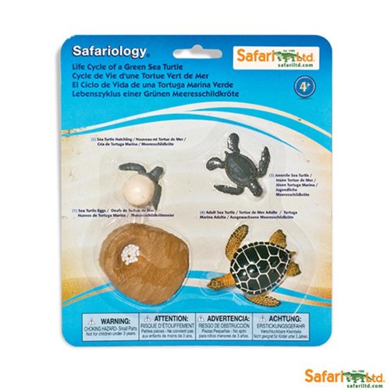 Safari Ltd Safariology Life Cycle Of A Green Sea Turtle