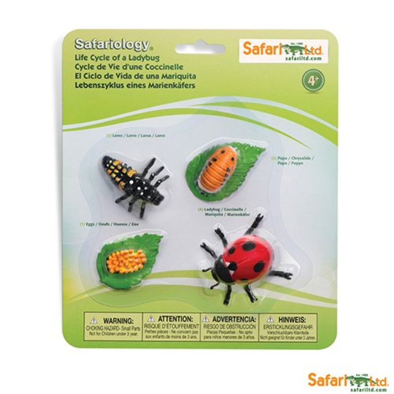 Safari Ltd Safariology Life Cycle Of A Ladybug