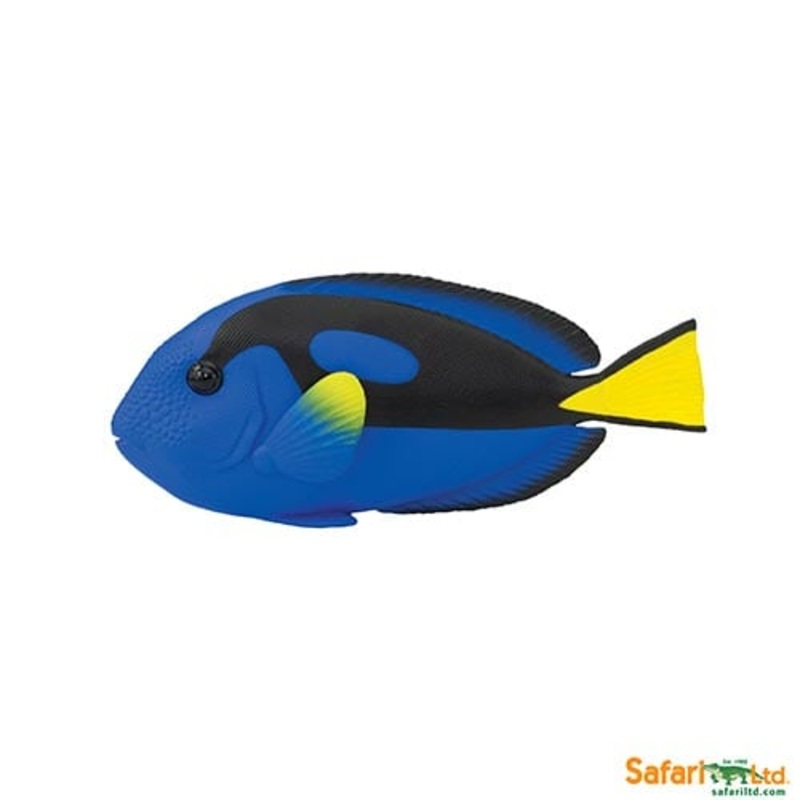 Safari Ltd Sea Life Blue Tang