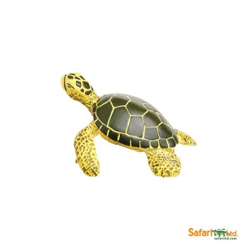 Safari Ltd Sea Life Green Sea Turtle Baby