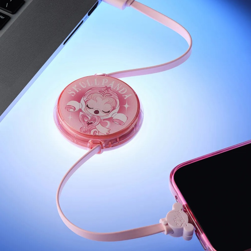 NewPop Mart SKULLPANDA The Sound Series-Cable Blind Box (Type-C)