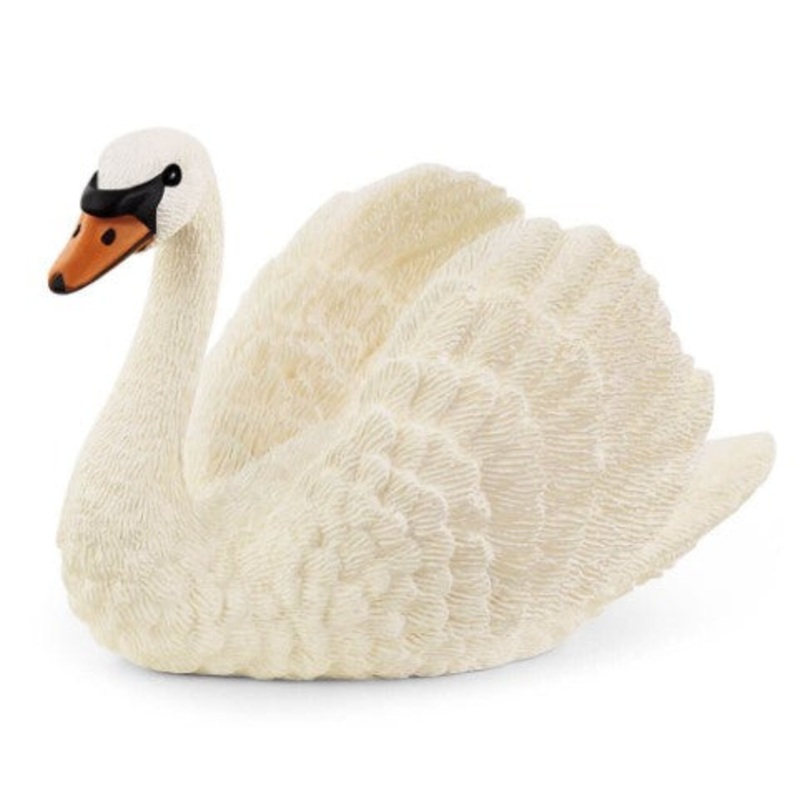 Swan