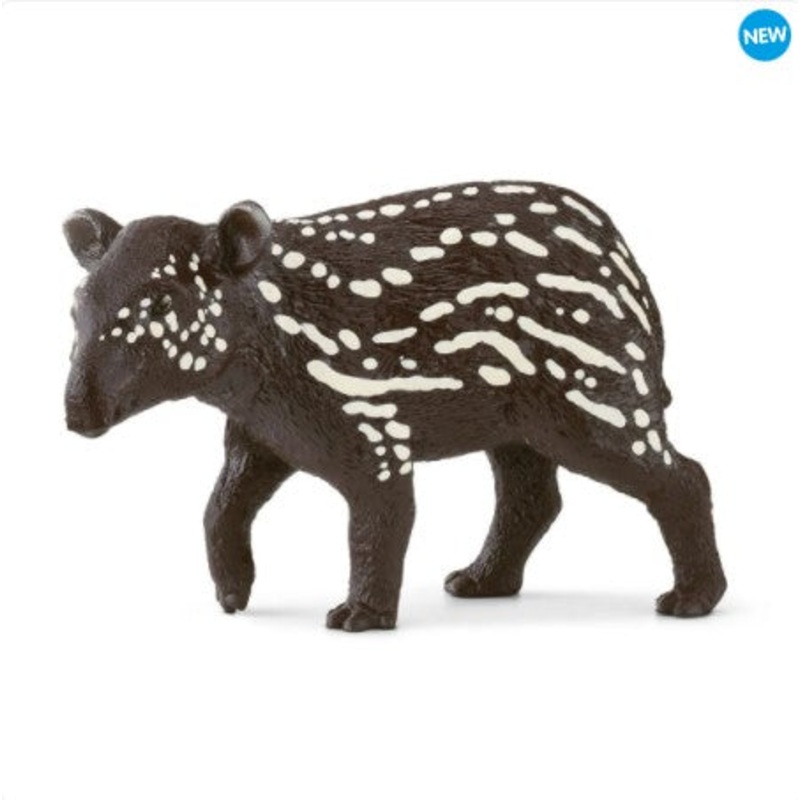 Tapir Baby