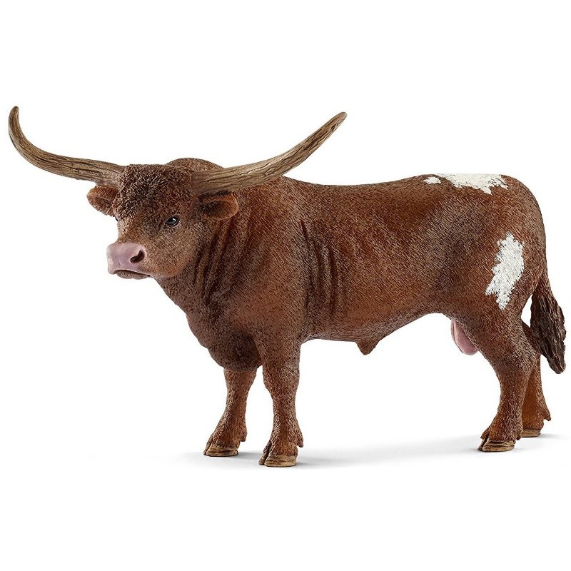 Texas Longhorn Bull