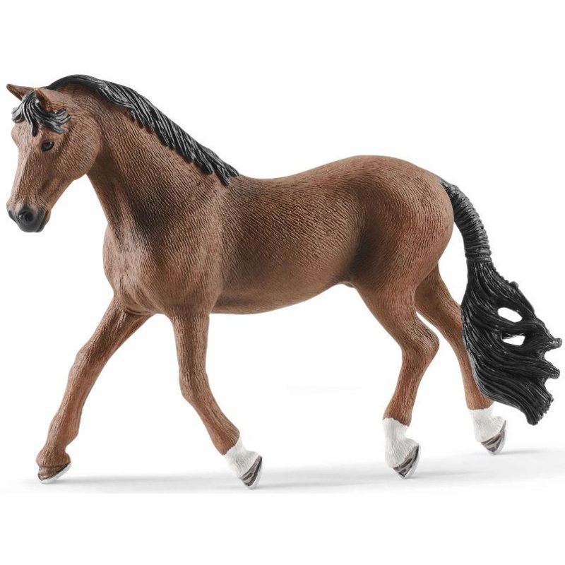Trakehner Gelding