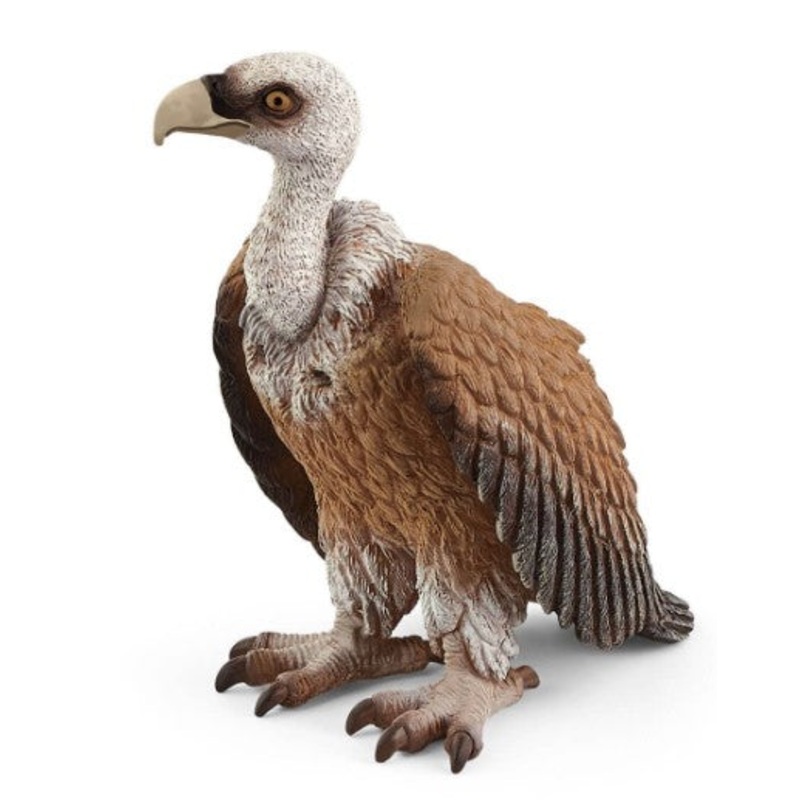 Vulture