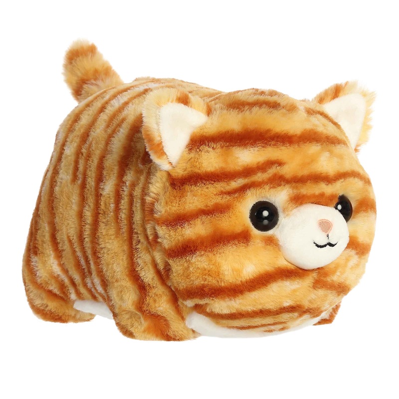 Taco Orange Tabby | Aurora Spudster