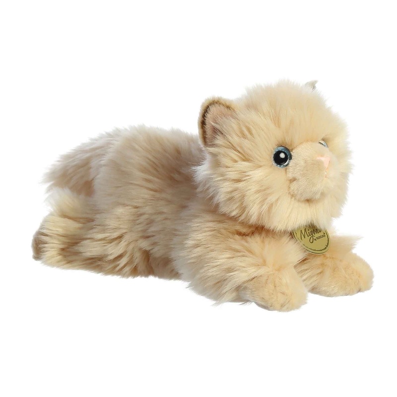 Persian Cat | Aurora Miyoni