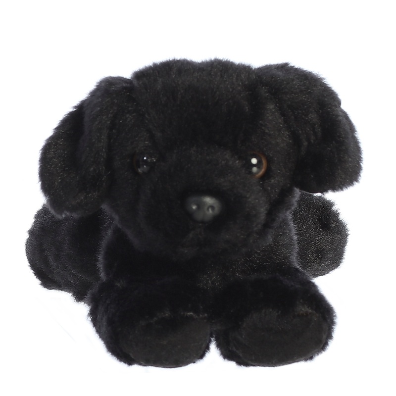 Blackie | Aurora Mini Flopsie