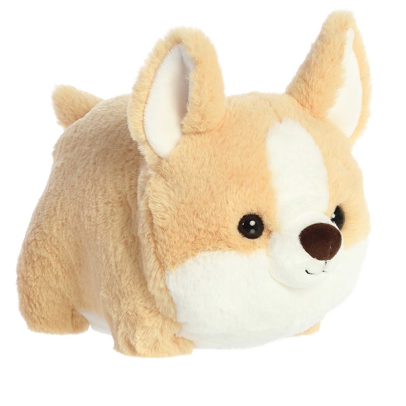 Colby Corgi | Aurora Spudster