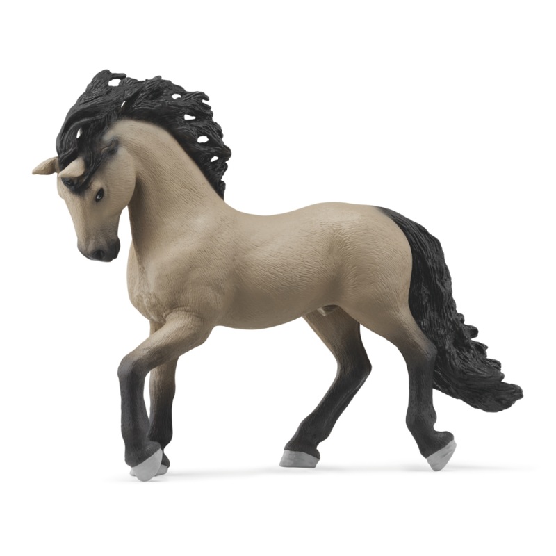 Pura Raza Espaola Stallion
