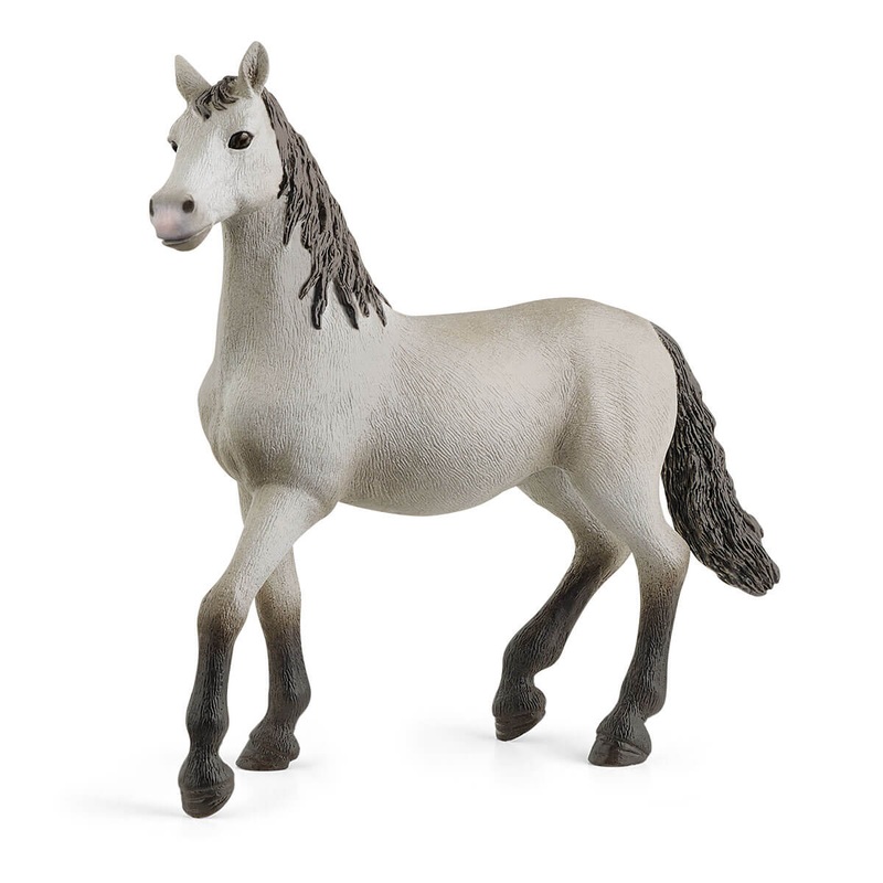 Pura Raza Espaola Young Horse