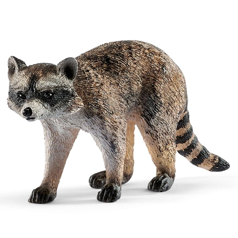 Raccoon (bundle)