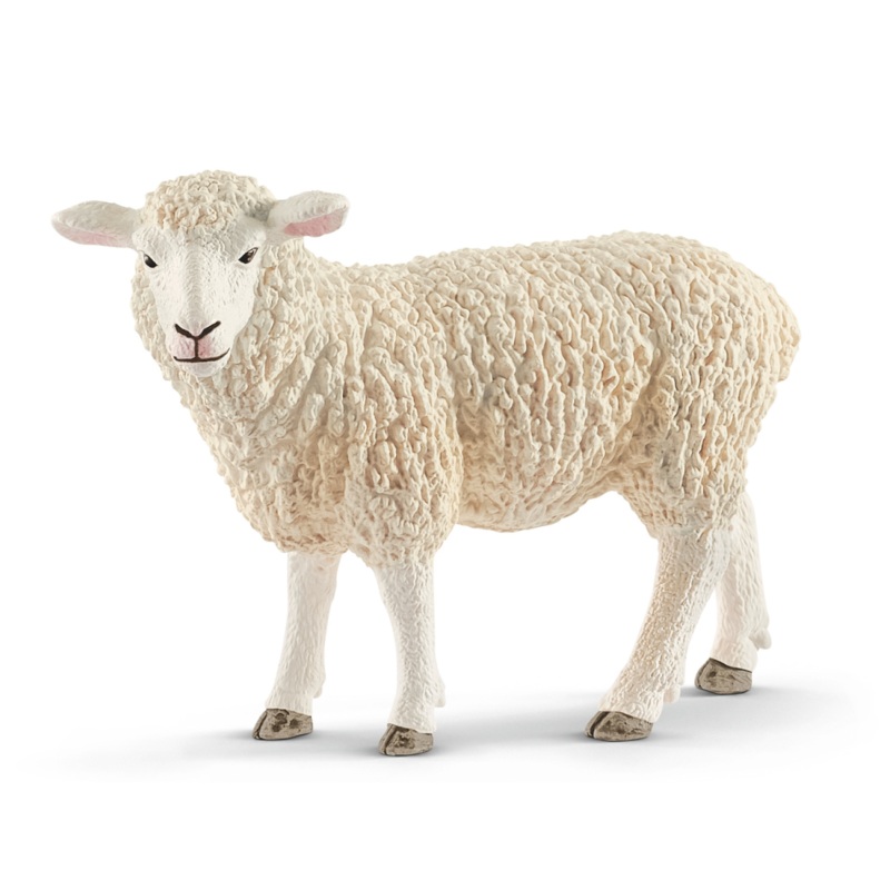 Sheep (bundle)