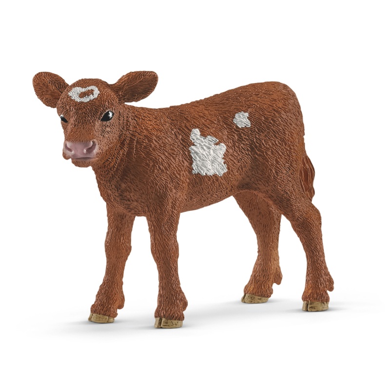 Texas Longhorn calf (bundle)