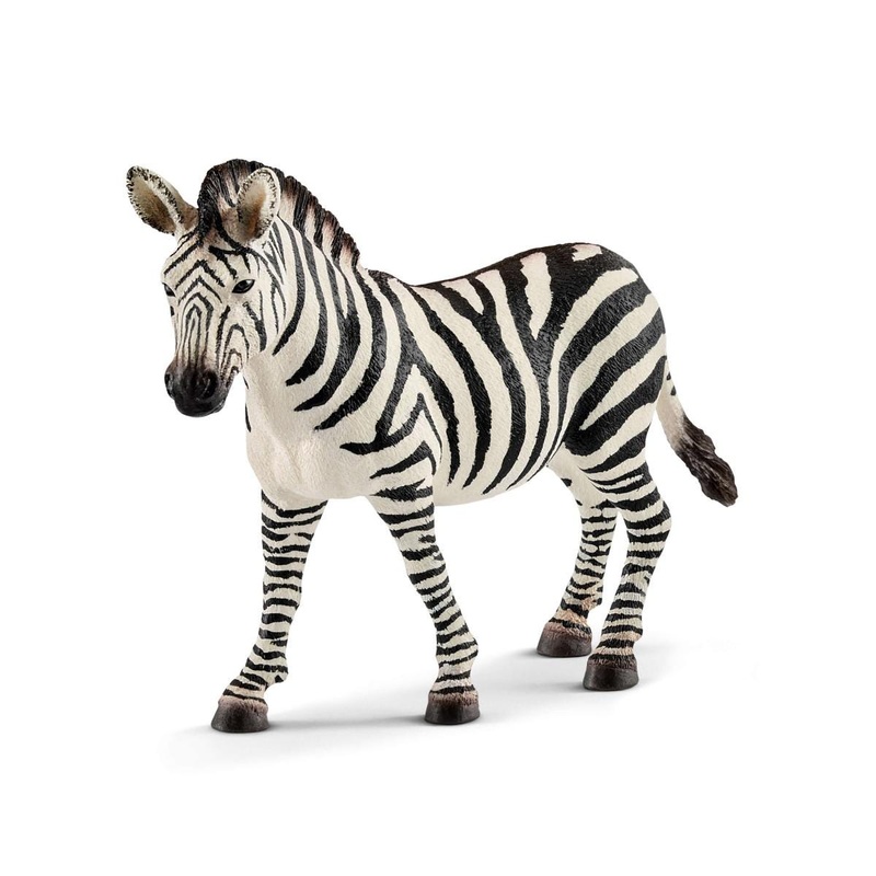 Zebra female (bundle)